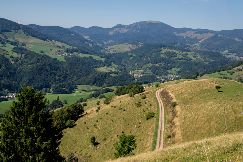 UNESCO Biosphärengebiet Schwarzwald › Schwarzwald Regioguide